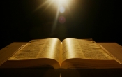 salmo_133