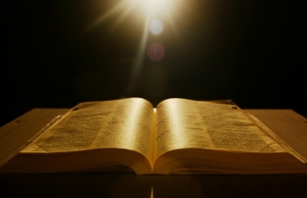 salmo_133
