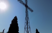 DSCN3630