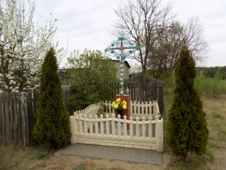 DSCN3683
