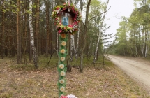 DSCN3687