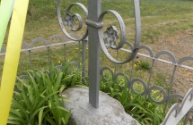 DSCN3729