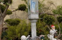 DSCN3738