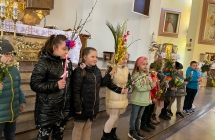 image12