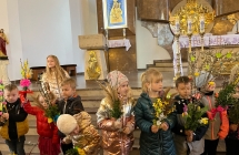 image8