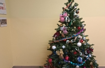 IMG-20221219-WA0015