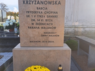Pomnik Śp. Antoniny Krzyżanowskiej