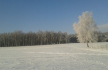 20160119_100907