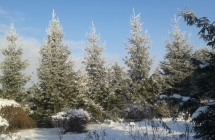 20160119_102539