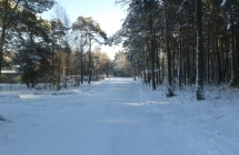 20160116_102851