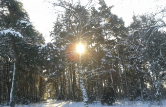 20160116_102834