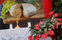 DSCN1687