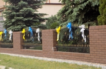 DSCN1511