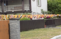 DSCN1497