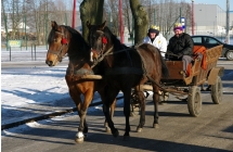 orszak_2017_124