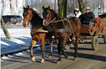 orszak_2017_125