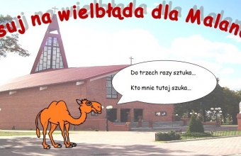 Bez tytulu